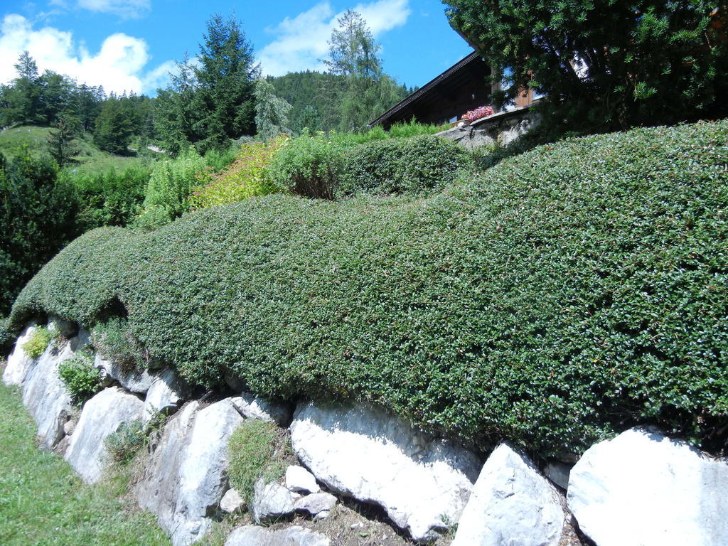 Privathaus Achensee Achenkirch Værelse billede